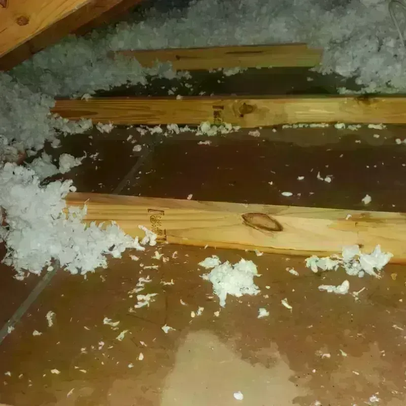 Attic Water Damage in Passaic, NJ